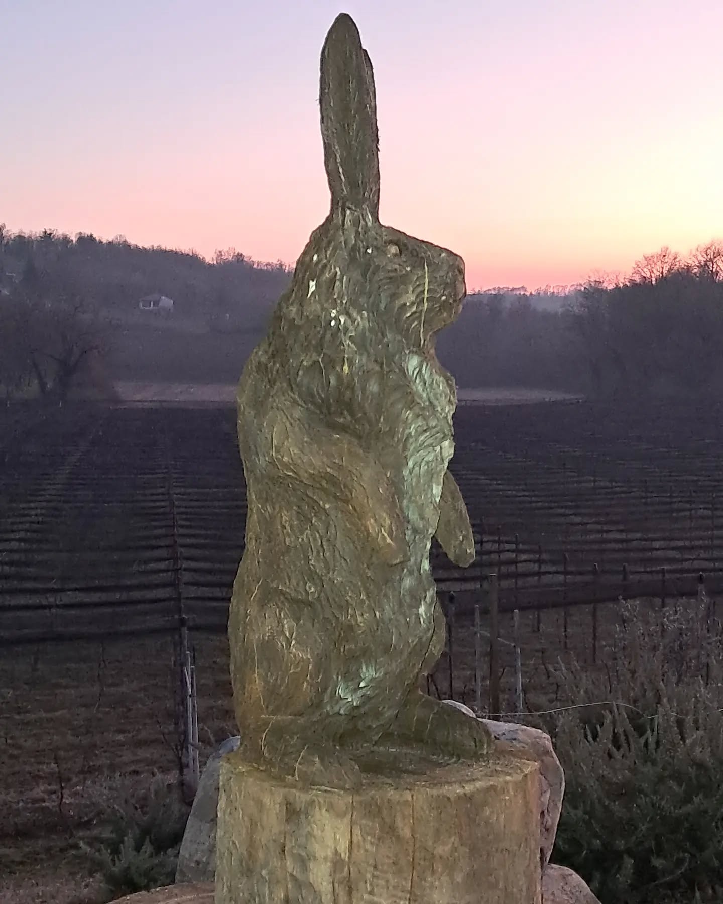 Felice 2025 - Happy 2025 💫💥🙂🥂