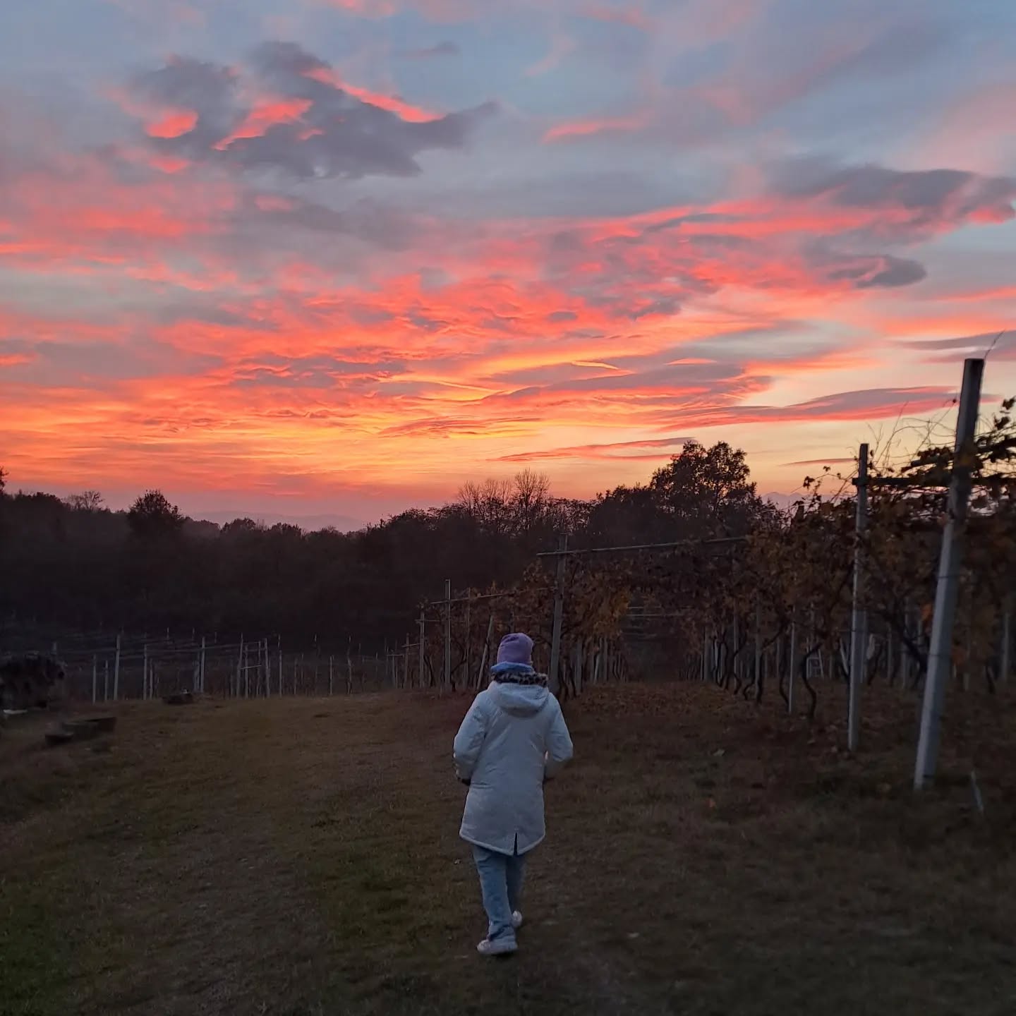 #landscapephotography #winter #inverno #wineblogger #winelover #erbalucedicaluso #vercellese #erbaluce #canavese #piemonte #moncrivello #italy🇮🇹