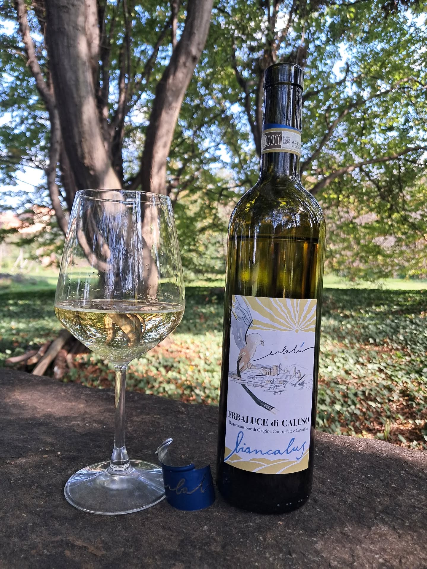 #biancalus #erbaluce #moncravel #canavese #erbalucedicaluso #erbalucedicaluso #wine #winelover #wineblogger #canavese #moncrivello #piemonte #italy

#vercellese #piemont #piedmont

#italie #vercelli #italien #ピエモンテ #イタリア #피에몬테 #이탈리아 #意大利 #皮埃蒙特 #Пьемонт #Италия