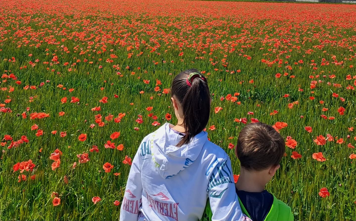 #landscapephotography #springtime #piemonte #italy🇮🇹