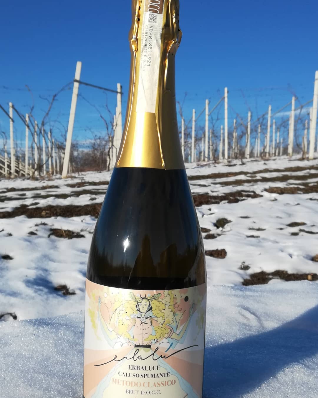 New Arrival! 🍾🍾🥂 Welcome #winepassion #winetasting #wine #winelover #sparklingwine #sparkling #spumante #spumantemetodoclassico #erbaluce #erbalucedicaluso #canavese #piemonte #piedmont #italia #italy #moncrivello #moncravel #piemont #vercelli #vercellese #ピエモンテ #イタリア #schaumwein