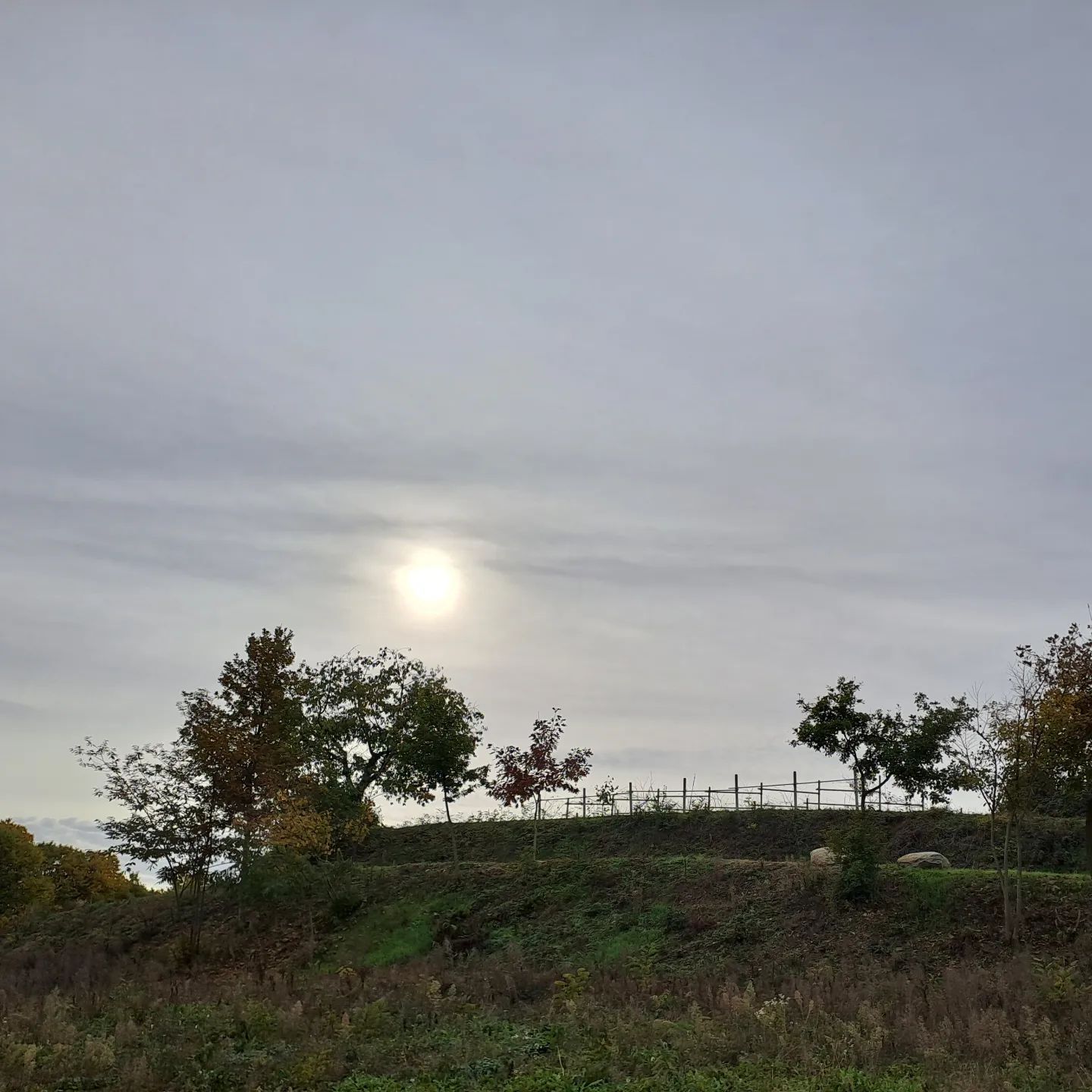 #landscapes #landscapephotography #winteriscoming #wineblogger #winelover #erbalucedicaluso #erbaluce #canavese #piemonte #italia #piemont #ピエモンテ #イタリア #italy #italien #italië #italie #vercelli #vercellese #moncrivello #moncravel
