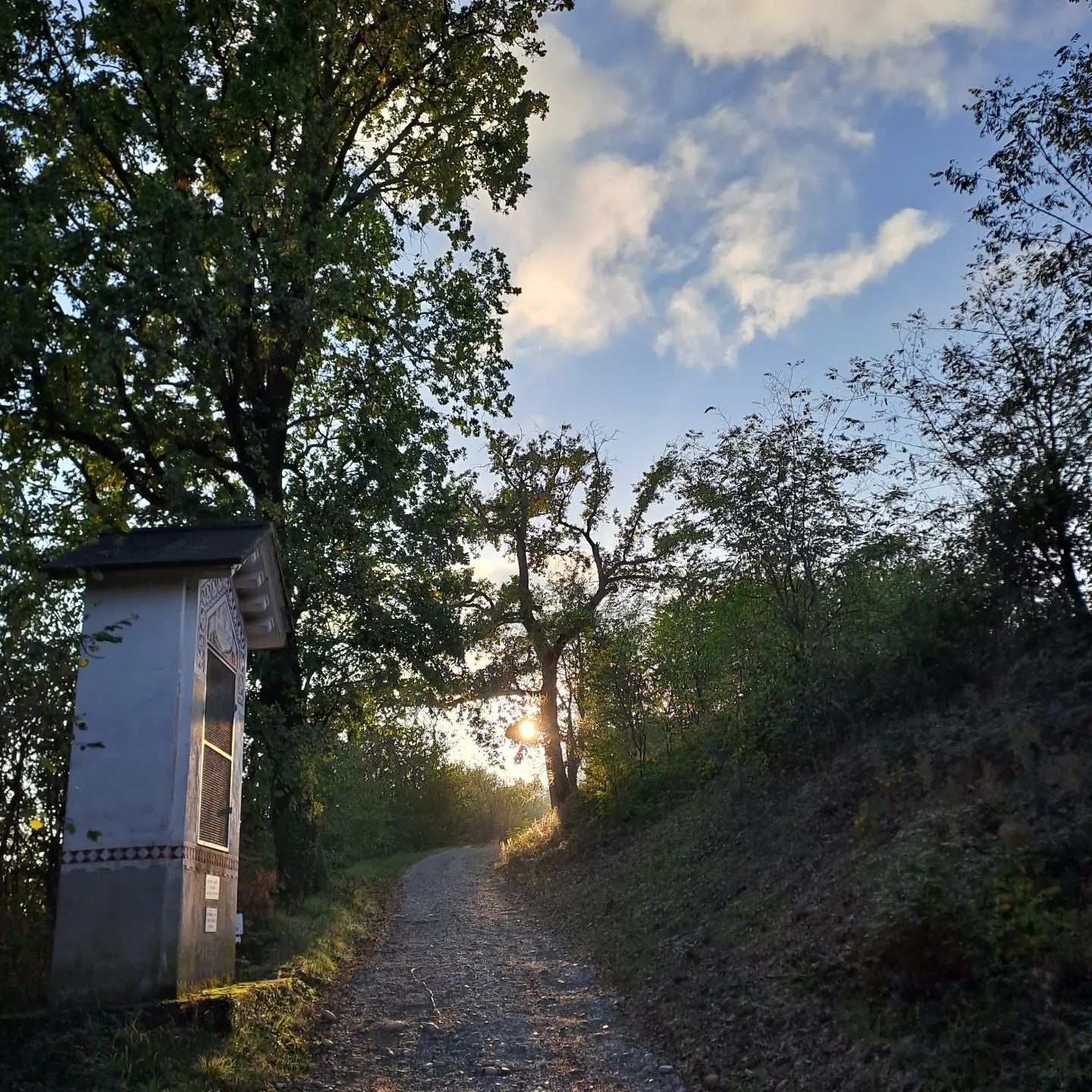 #landscapes #landscapephotography #canavese #moncrivello #autumnvibes🍁 #autunno #autumn #piedmont #piemonte #viveremoncrivello #italia #piemont #ピエモンテ #イタリア #italy #italien #italië #italie #vercelli #vercellese #moncravel