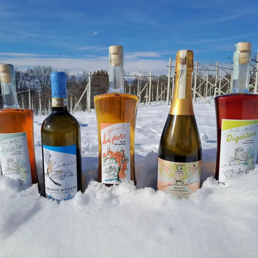 il Poker di Erbalù! 

🥂  Erbaluce di Caluso DOCG (still white) 
🍾  Caluso Spumante DOCG (sparkling)
🍋  Amaro Barba Maté (bitter liqueur) 
🍑  Liquore Sghireul (sweet liqueur)

#canavese #bubbels #piedmont #piemonte #italy #piemont #vercelli #moncravel #liqueurs #liquori #lemon #peach #winepassion #wine #winelover #sparklingwine #sparkling #spumante #spumantemetodoclassico #erbaluce #erbalucedicaluso #italie #italien #schaumwein #vinobianco #vinblanc  #Weißwein #whitewine #brut