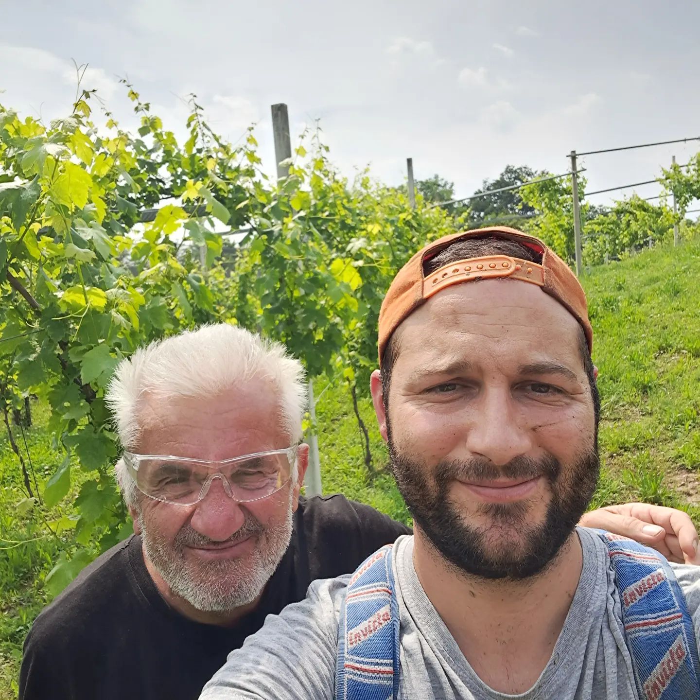 Quando passa il boss a controllare 

#winefotography #wineblogger #wine #winelover #erbalucedicaluso #erbaluce #canavese #piedmont #piemonte #moncrivello #italy🇮🇹 #piemont #italie #italien #ピエモンテ #イタリア #vercellese #vercelli #italy #italia #moncravel