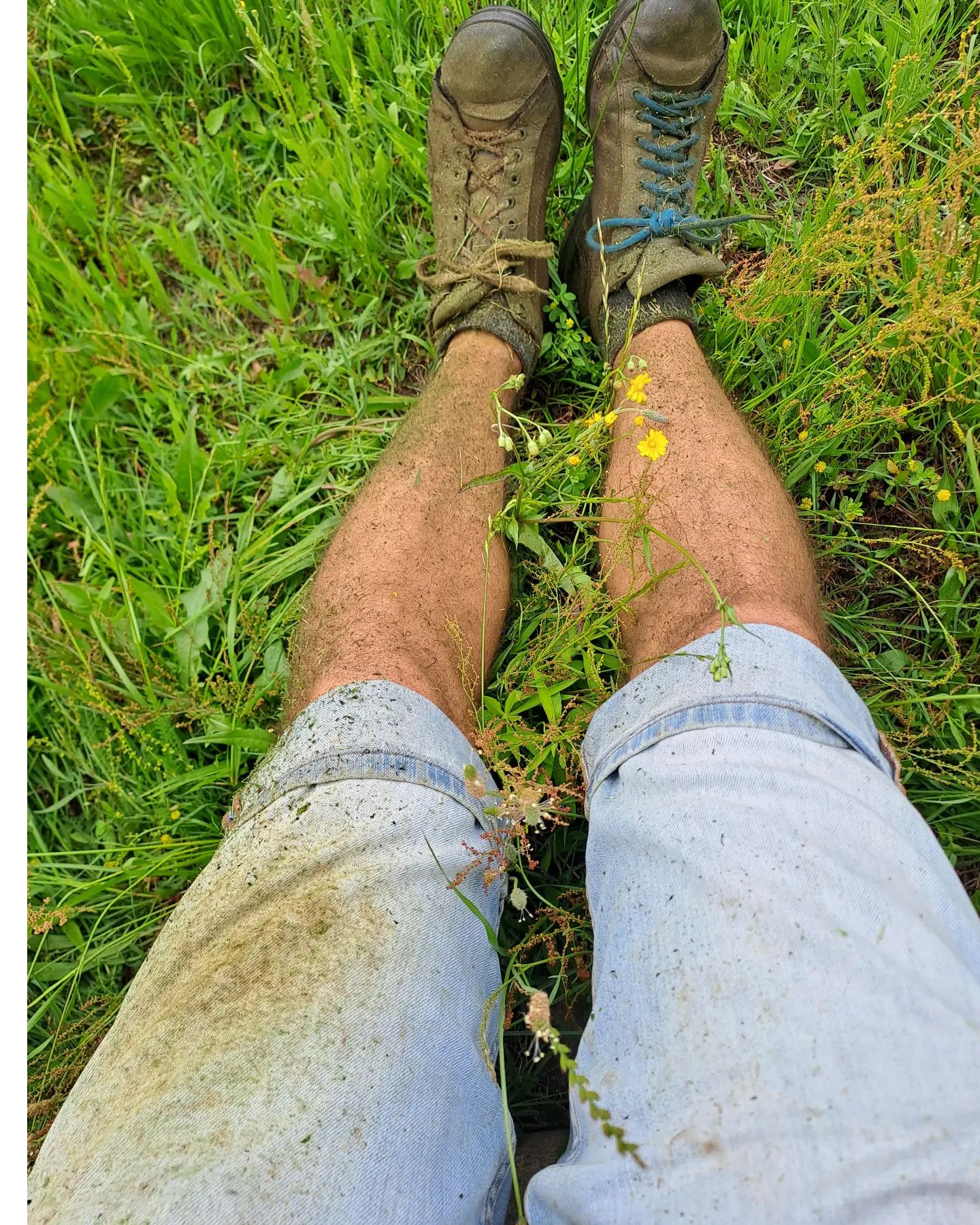 Totally mechanic #mowing #sfalcio meccanico #noherbicides #zerodiserbanti

#summer #summervibes #wineblogger #winelover #picoftheday #mosquito #erbalucedicaluso #erbaluce #canavese #piedmont #piemonte #italy🇮🇹 #piemont #italie #italien #ピエモンテ #イタリア #vercellese #vercelli #italy #italia #moncravel #moschin