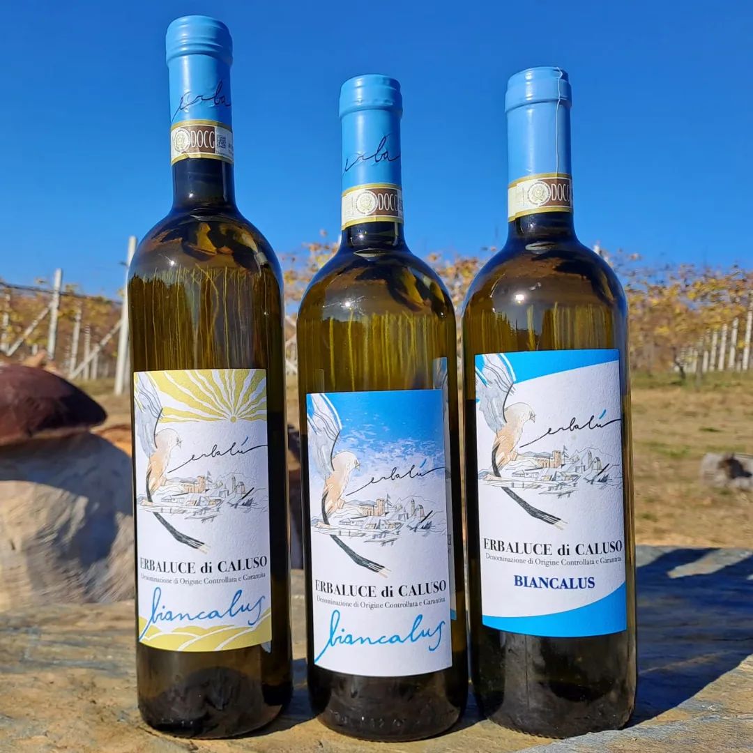 evoluzione #biancalus evolution #vino/#wine #etichetta/#label #bottiglia/#bottle
da destra a sinistra: la prima, annate 2021 e 2022 (etichetta gialla) 🥂 from right to left: the first one, 2021 and 2022 (yellow label) vintages 

#erbaluce #erbalucedicaluso #canavese

#winefotography #winetasting #wineblogger #moncrivello #piemonte #italy🇮🇹 #italia #piemont #italie #italien #ピエモンテ #イタリア #vercellese #vercelli #italy #moncravel #piedmont