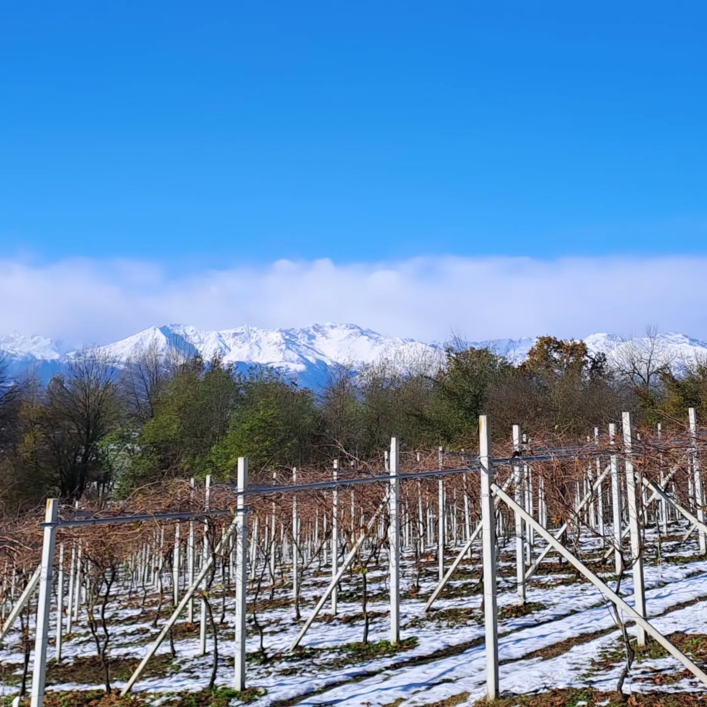 #moncravel #landascape #landscapephotography #alpi #wineblogger #winelover #erbaluce #erbalucedicaluso #erbaluce #canavese #moncrivello #piemonte #italy
#piedmont #piemont #italie #vercelli #italien #ใใจใขใณใ #ใคใฟใชใข #ํผ์๋ชฌํ
 #์ดํ๋ฆฌ์ #ๆๅคงๅฉ #็ฎๅ่็น