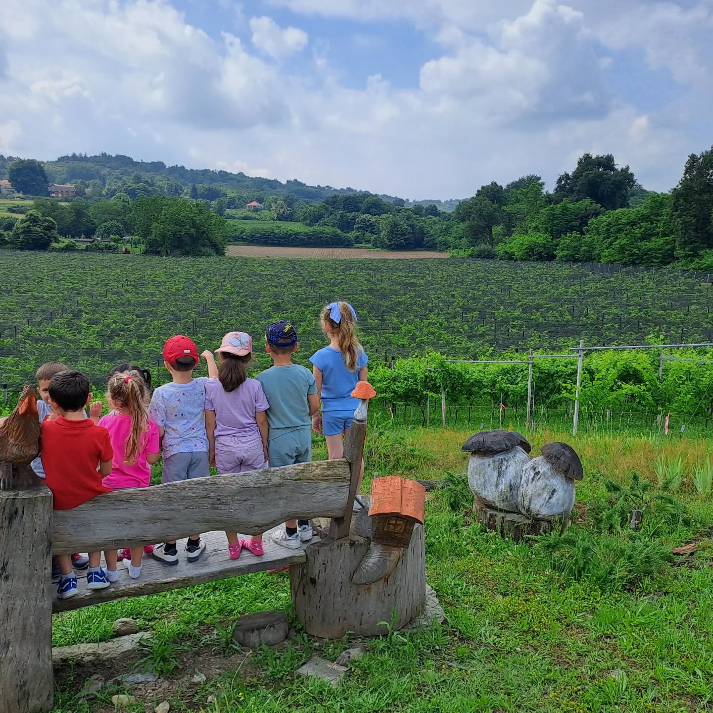 I bimbi della materna di Moncrivello in gita ❤️ #landscapephotography #winelover #wineblogger #erbalucedicaluso #canavese #piemonte #moncrivello #italy🇮🇹