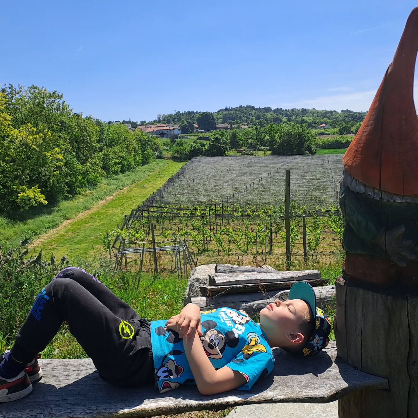##wineblogger #winelover #erbalucedicaluso #erbaluce #erbalucedicaluso