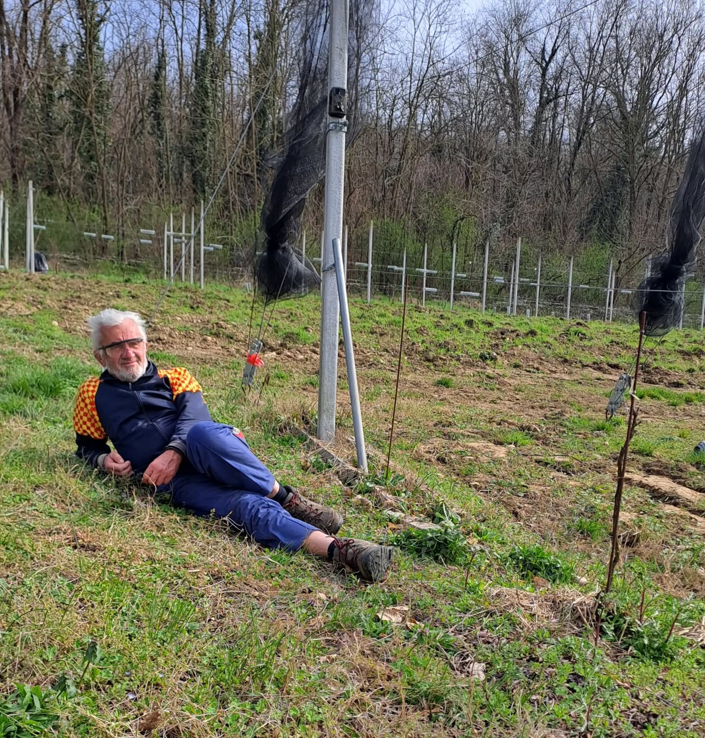 Il riposo del boss #wineblogger #wine #winelover #erbalucedicaluso #canavese #piemonte #moncrivello #italy🇮🇹 #moncravel